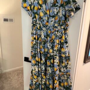 The Somerset Anthropologie Lemon Floral Maxi Dress
